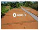 Land For Sale In Meepe High Level